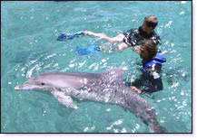 Kind bei Delphin unterstützter Therapie