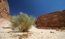 Die Canyons von Sinai