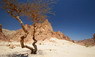 Die Canyons von Sinai