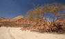 Die Canyons von Sinai