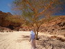 Die Canyons von Sinai