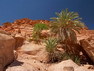 Die Canyons von Sinai