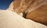Die Canyons von Sinai