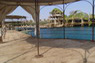 Dolphin Therapy in Eilat -  Israel