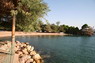 Dolphin Therapy in Eilat -  Israel