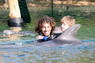 Dolphin Therapy in Eilat -  Israel