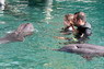 Dolphin Therapy in Eilat -  Israel