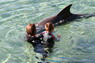 Dolphin Therapy in Eilat -  Israel