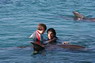Dolphin Therapy in Eilat -  Israel