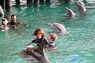 Dolphin Therapy in Eilat -  Israel