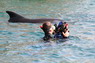 Dolphin Therapy in Eilat -  Israel
