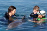 Dolphin Therapy in Eilat -  Israel