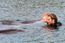 Dolphin Therapy in Eilat -  Israel