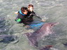 Dolphin Therapy in Eilat -  Israel