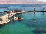 Dolphin Therapy in Eilat -  Israel