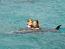 Dolphin Therapy in Eilat -  Israel