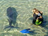 Dolphin Therapy in Eilat -  Israel