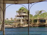 Dolphin Therapy in Eilat -  Israel