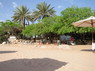 Dolphin Therapy in Eilat -  Israel