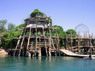Dolphin Therapy in Eilat -  Israel
