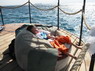 Dolphin Therapy in Eilat -  Israel