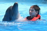 Dolphins in Sharm el Sheikh -  Sinai