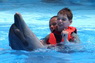 Dolphins in Sharm el Sheikh -  Sinai