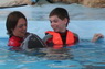 Dolphins in Sharm el Sheikh -  Sinai