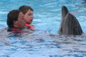 Dolphins in Sharm el Sheikh -  Sinai