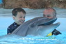 Dolphins in Sharm el Sheikh -  Sinai