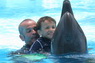 Dolphins in Sharm el Sheikh -  Sinai