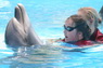 Dolphins in Sharm el Sheikh -  Sinai