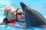 Dolphins in Sharm el Sheikh -  Sinai