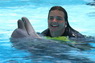 Dolphins in Sharm el Sheikh -  Sinai