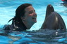 Dolphins in Sharm el Sheikh -  Sinai