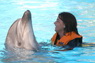 Dolphins in Sharm el Sheikh -  Sinai