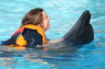 Dolphins in Sharm el Sheikh -  Sinai