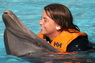 Dolphins in Sharm el Sheikh -  Sinai