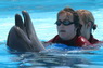 Dolphins in Sharm el Sheikh -  Sinai