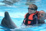Dolphins in Sharm el Sheikh -  Sinai