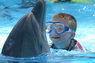 Dolphins in Sharm el Sheikh -  Sinai
