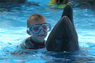 Dolphins in Sharm el Sheikh -  Sinai