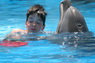 Dolphins in Sharm el Sheikh -  Sinai