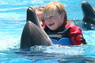 Dolphins in Sharm el Sheikh -  Sinai