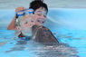 Dolphins in Sharm el Sheikh -  Sinai