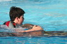 Dolphins in Sharm el Sheikh -  Sinai