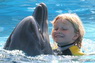 Dolphins in Sharm el Sheikh -  Sinai