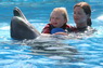 Dolphins in Sharm el Sheikh -  Sinai