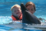 Dolphins in Sharm el Sheikh -  Sinai