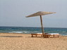 Kamel Reiten Nuweiba